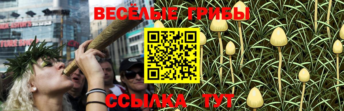 Галлюциногенные грибы Psilocybe Ипатово