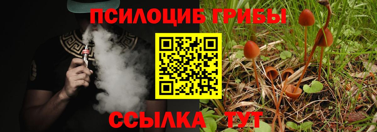Псилоцибиновые грибы мицелий  Вход с VPN  Ипатово  Псилоцибиновые грибы MAGIC MUSHROOMS 
